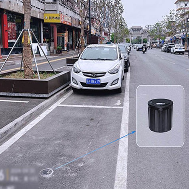 Geomagnetic Sensor System
